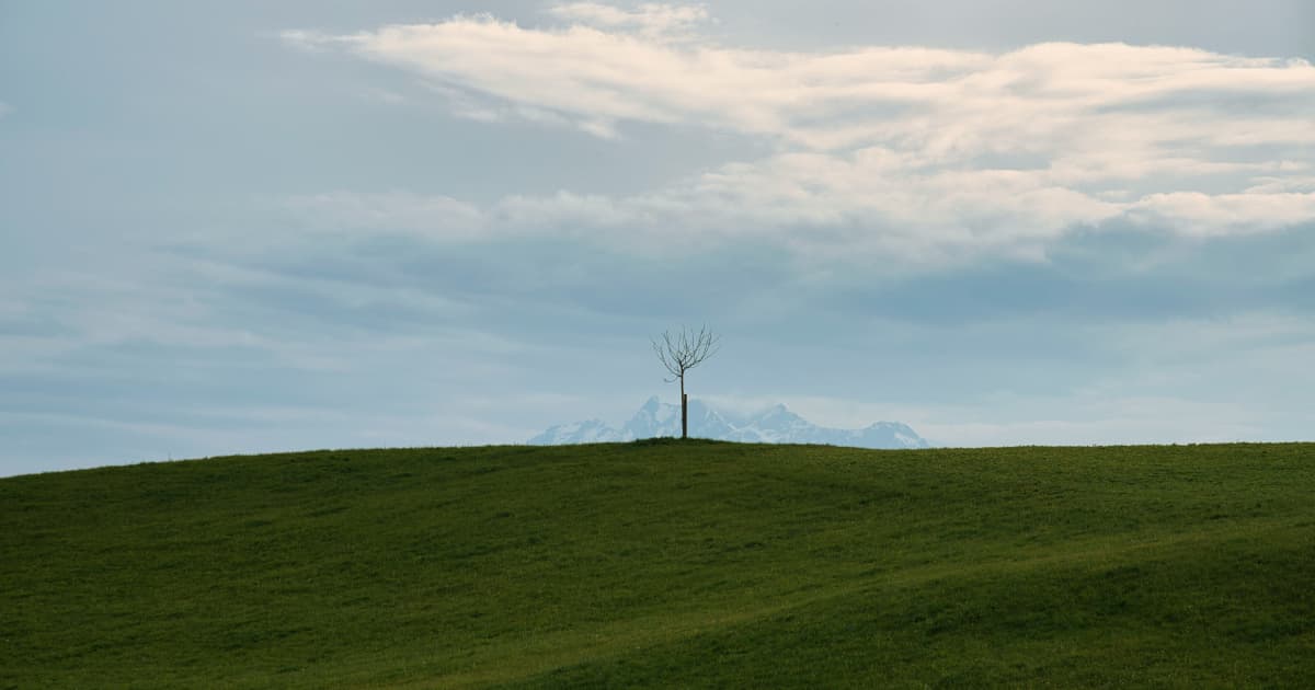 European Nations Accelerate Renewable Energy Adoption Amid Global Oil Crisis