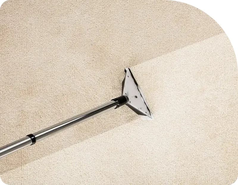 Flood Squad Sets New Standards in Water Damage Restoration with Innovative Technology