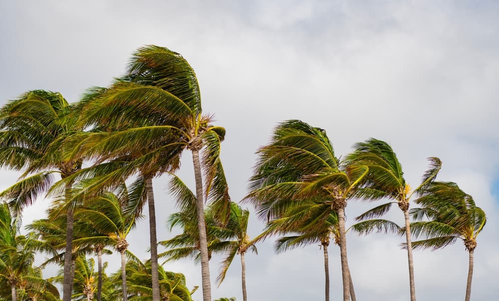 Real Estate Investors Urged to Quantify Hazard Risk as Stable-Income Assumption Breaks Down