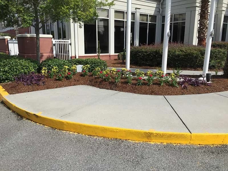 Turf Scouts Celebrates 15 Years of Residential Lawn Services in Savannah and Isle of Hope