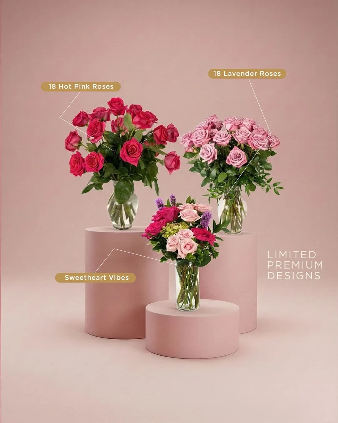 Pink Pussycat Flowers Elevates Rose Gifting with Luxury Collections in Florida