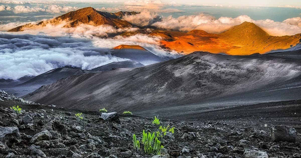 This Week Hawaii Marks 60 Years with Digital Expansion and Enhanced Ad Tracking