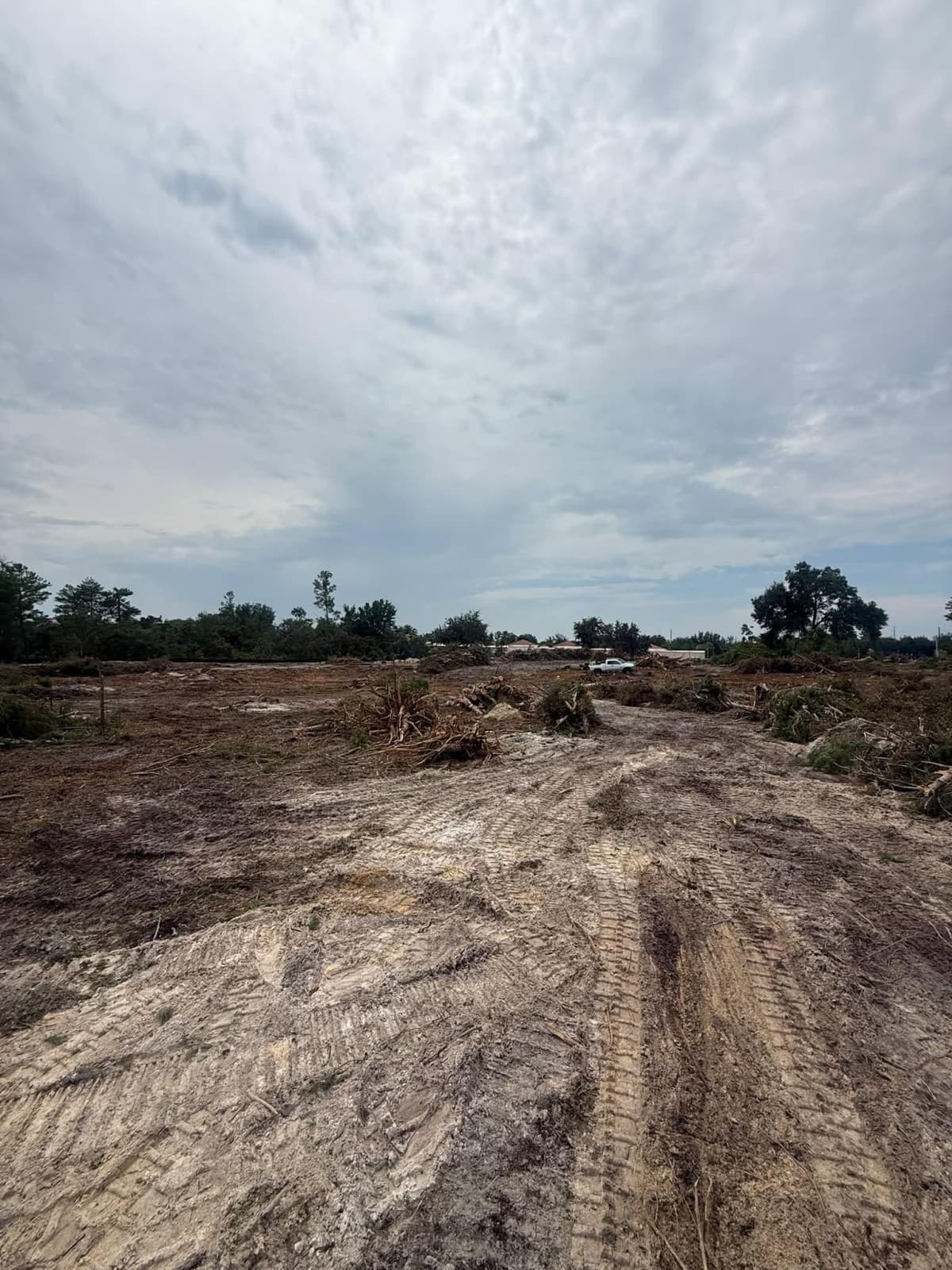VB Tree Removal Unveils Comprehensive Guide to Land Clearing Costs and Forestry Mulching