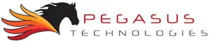 Pegasus Technologies Strengthens Local Business Ties Through Chamber Golf Tournament