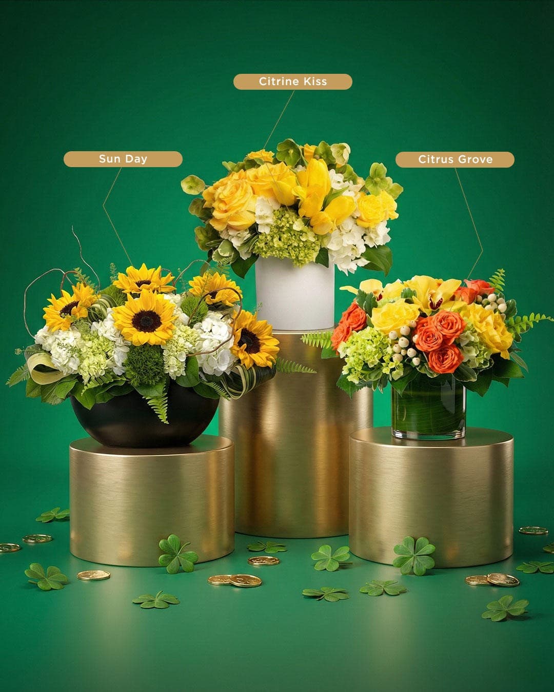 Juno Beach Florist Launches Signature Orchid Collection for Coastal Homes and Offices