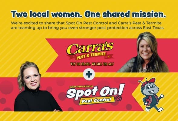 Spot On Pest Control and Carra's Pest & Termite Join Forces to Expand East Texas Coverage