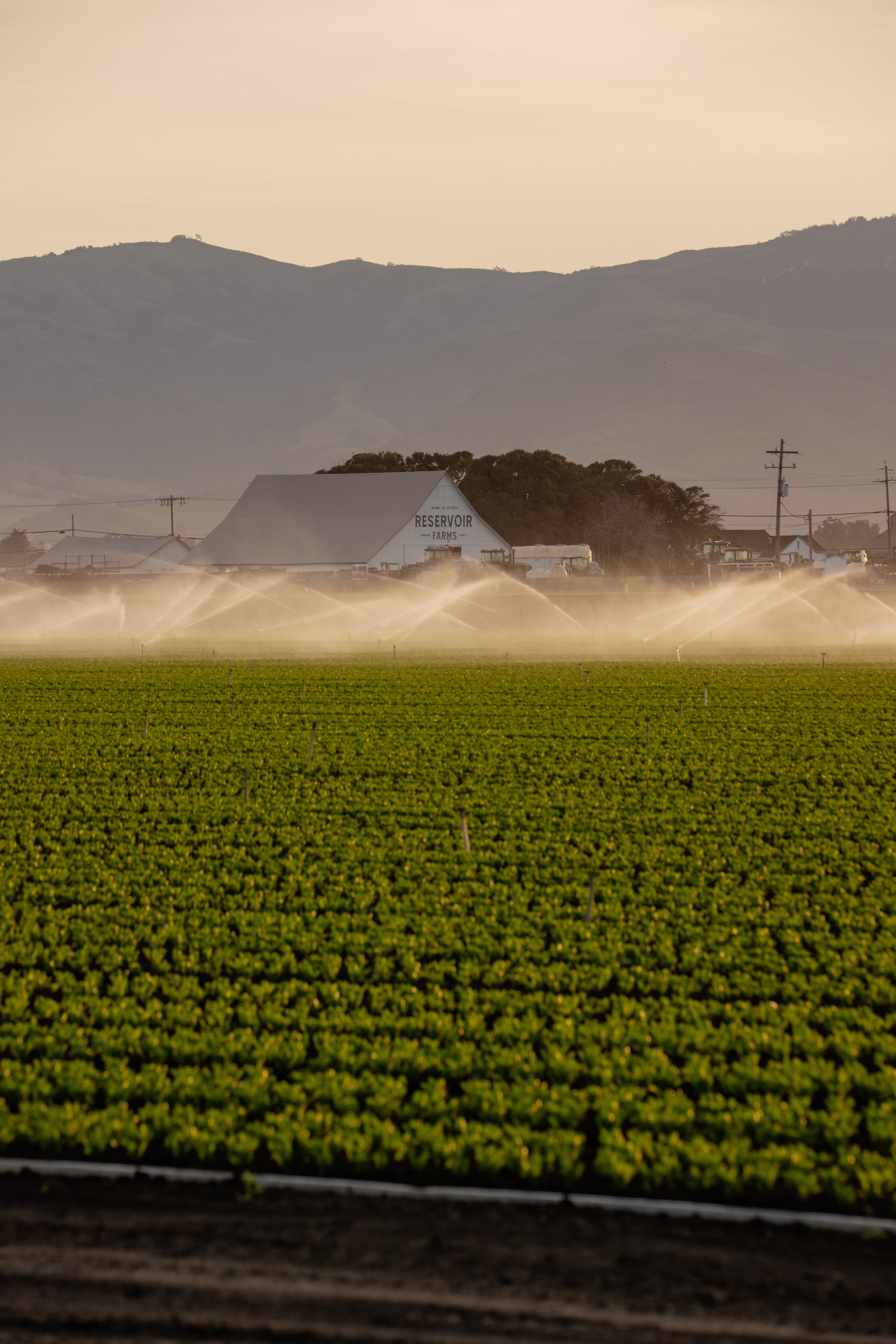 Reservoir Opens its Farms to Create Dense Innovation Hubs for Rugged AI and AgTech