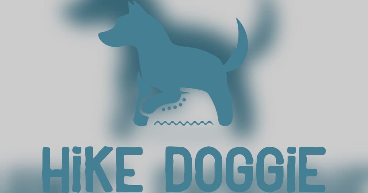 Dog's 5-Star Yelp Review Goes Viral for Hike Doggie