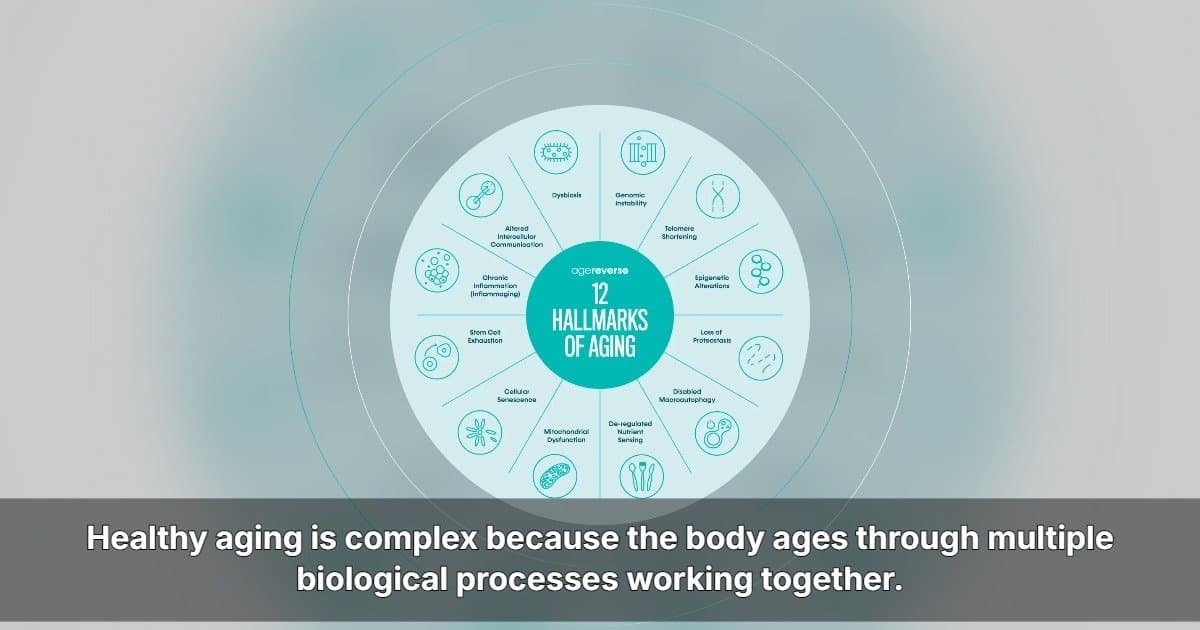 AgeReverse Announces US Expansion with Comprehensive Longevity Supplement