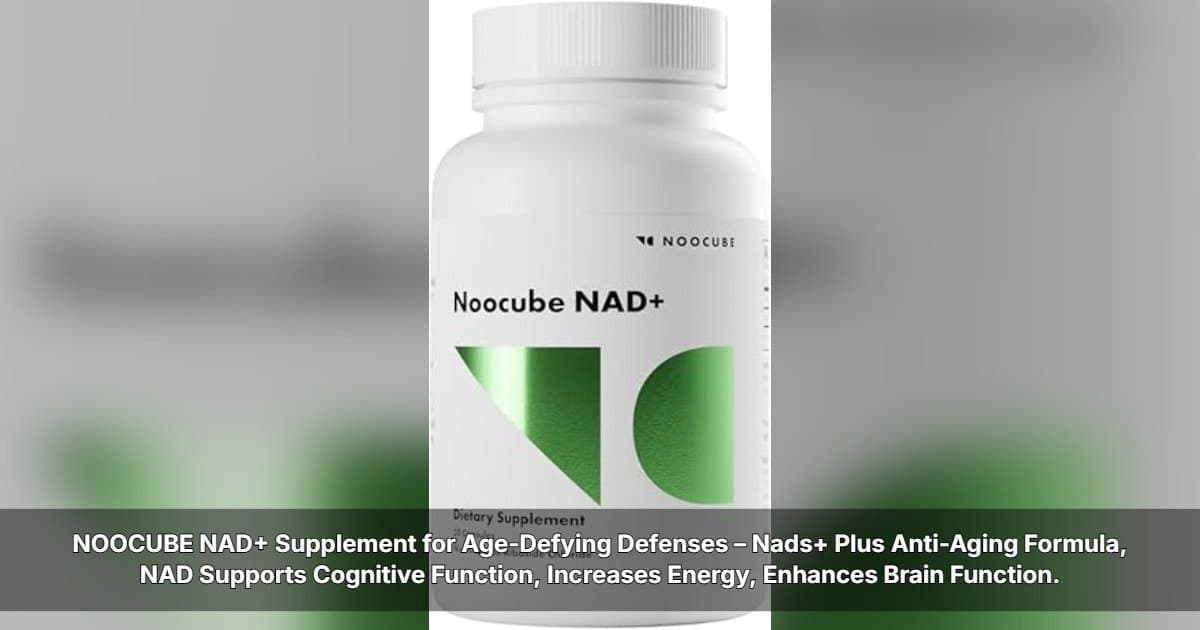 Wolfson Group Sees Cognitive Wellness Demand Rise as NooCube Expands U.S. Availability
